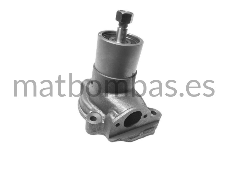 BELARUS BOMBA DE AGUA 501307010A